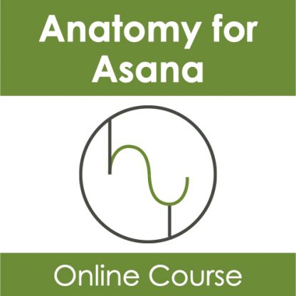 Anatomy for Asana